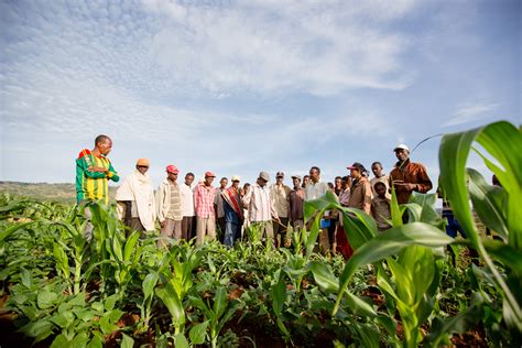 Farmers organization in Cavite earns P134K for .